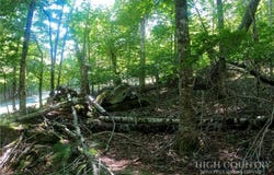 112 Tamarack Road, Beech Mountain, NC 28604