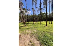 NE Webb Ln, Steinhatchee, FL 32359