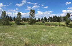 Talisman Drive, Pagosa Springs, CO 81147