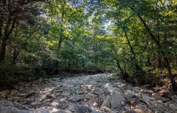 Calhan Circle, Clarkridge, AR 72623