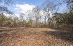 120 tbd Stevens Dr, Marietta, TX 75566