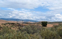 Shaw Lane, Council, ID 83612