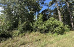 Veterans Drive, Diamondhead, MS 39525