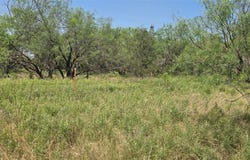 Nash RD, Jacksboro, TX 76458