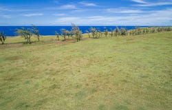 Hawi, HI 96719