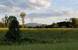 NC Highway 89, Francisco, NC 27053