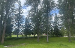 535 Plentywood Drive, Kalispell, MT 59901