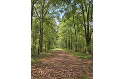 Kite Rd, Pittsview, AL 36871