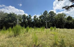 McCarther Road, Mount Airy, NC 27030