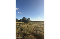 3893 Trebil Boulevard, Snowflake, AZ 85937