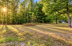 SE County Line Road, Mount Pleasant, MI 48858