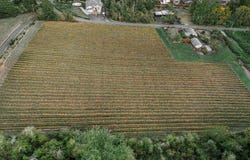 11781 SE 162ND Ave, HappyValley, OR 97086