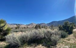 Smith & Joy, Onyx, CA 93255