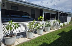 6740 Strawberry Dr, New Port Richey, FL 34653