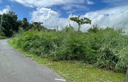 Daguao, Naguabo, PR 00718