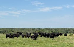 509th Avenue, Oneill, NE 68763