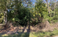 Jones Circle, Bishopville, SC 29010