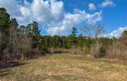 County Road 328, De Berry, TX 75639