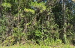 Schrader Court, Saucier, MS 39574