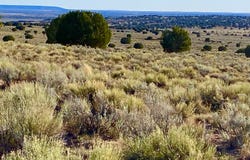 River Meadows Ranch Unit 3 Lot 204, Concho, AZ 85924