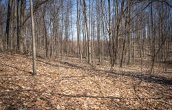Parcel D W Grant Road, New Era, MI 49446