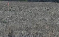 1105 CR 611, Hamilton, TX 76531