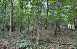 Route 286, Commodore, PA 15729
