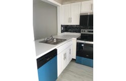 438 NE 210th Cir Ter, Miami, FL 33179