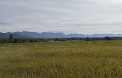 4675 MT Highway 35, Kalispell, MT 59901