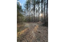 Highway 42, State Line, MS 39362