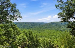 583 Cliff Park Rd, Monterey, TN 38574