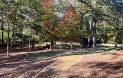 8021 Lake Cove, OXFORD, MS 38655
