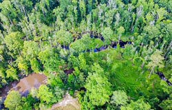0-C Mount Carmel Road, Walterboro, SC 29488