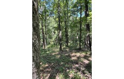 Clear Sky Drive, Marshfield, MO 65706