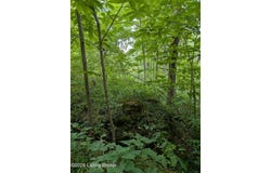 Valley Ln, Shepherdsville, KY 40165