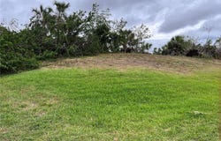 WOODBRIDGE Drive, VENICE, FL 34293