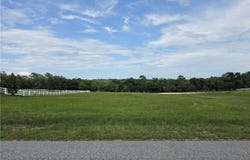 1359 N Spend A Buck Drive, Hernando, FL 34442