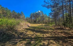 Campbell Road, Bonnerdale, AR 71933