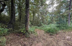 0 Co Rd 1606, Cullman, AL 35058