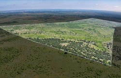 County Rd 2730, Lometa, TX 76853
