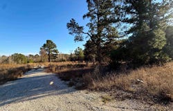 County Rd 2623, Marietta, TX 75566
