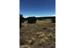 N7399, Chambers, AZ 86502
