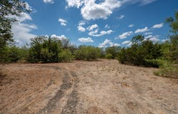 12002 Sunbonnet Cv, Austin, TX 78719