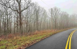 11 High Point Drive, Mayflower, AR 72106
