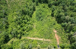 Colemans Mill Road, Gladstone, VA 24553