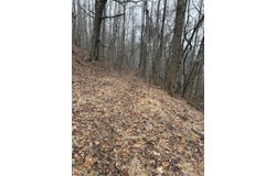 N Route 219, Renick, WV 24966