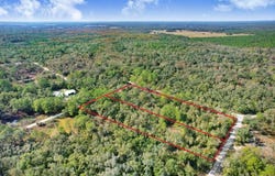 SONIA Avenue, WEBSTER, FL 33597