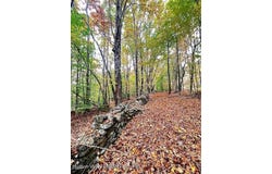 Alpine Drive, Bovina, NY 13740