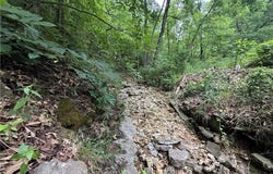 Highway DD, Seligman, MO 65745