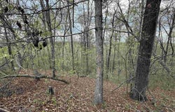 8362 OLD HIGHWAY 280 lot: 2, CHELSEA, AL 35043